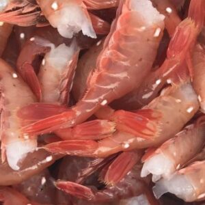 ALASKAN SPOT SHRIMP