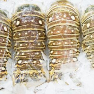 LOBSTER TAILS