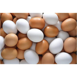 COUNTRY CHICKEN EGG