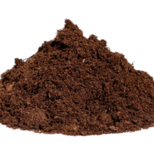 Plant Fibre